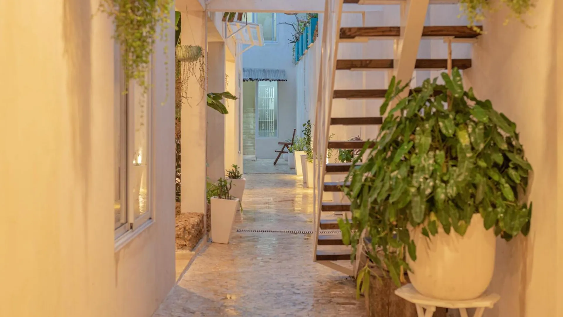 סנטו דומינגו 3 Studios At Casa Areito דירה סנטו דומינגו